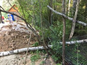 Забор сломан соседским деревом